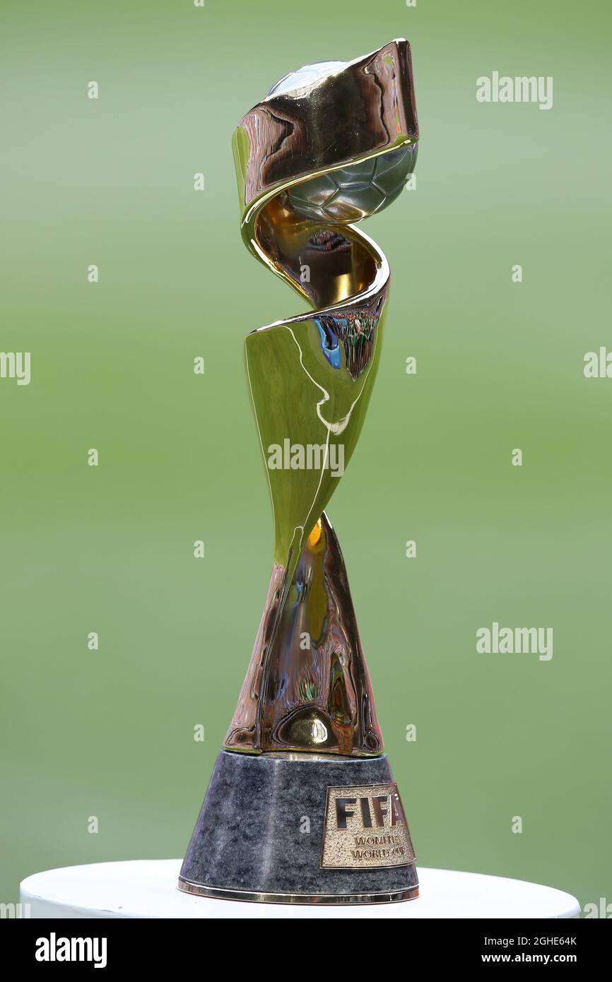 El trofeo durante el partido de la Copa Mundial Femenina de la FIFA en  Stade de Lyon, Lyon. Fecha de la foto: 7th de julio de 2019. El crédito de  la foto