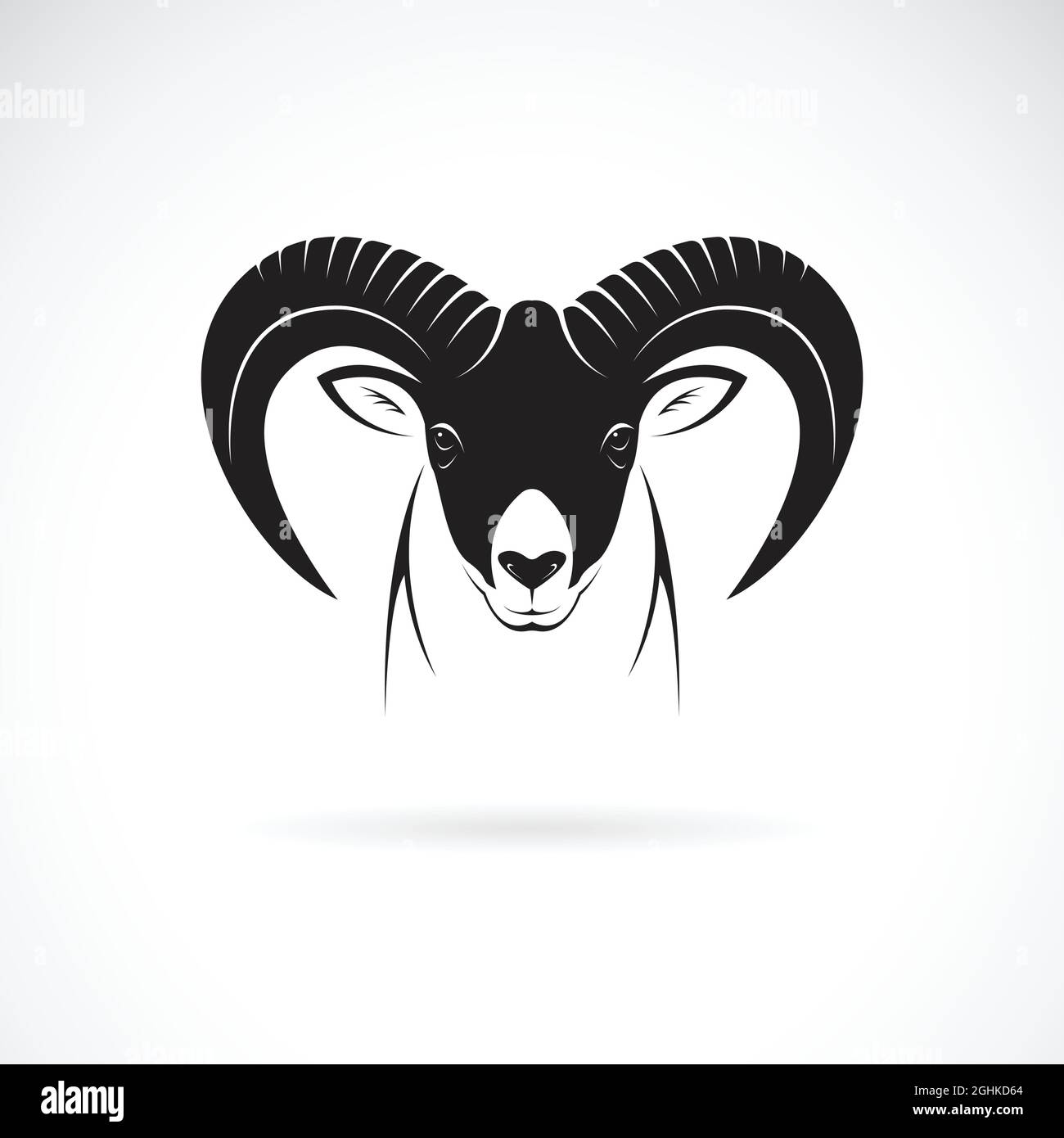 Vector de diseño de cabeza de cabra de montaña sobre fondo blanco. Animales salvajes. Logotipo o icono de Goats. Ilustración de vector en capas fácil de editar. Ilustración del Vector