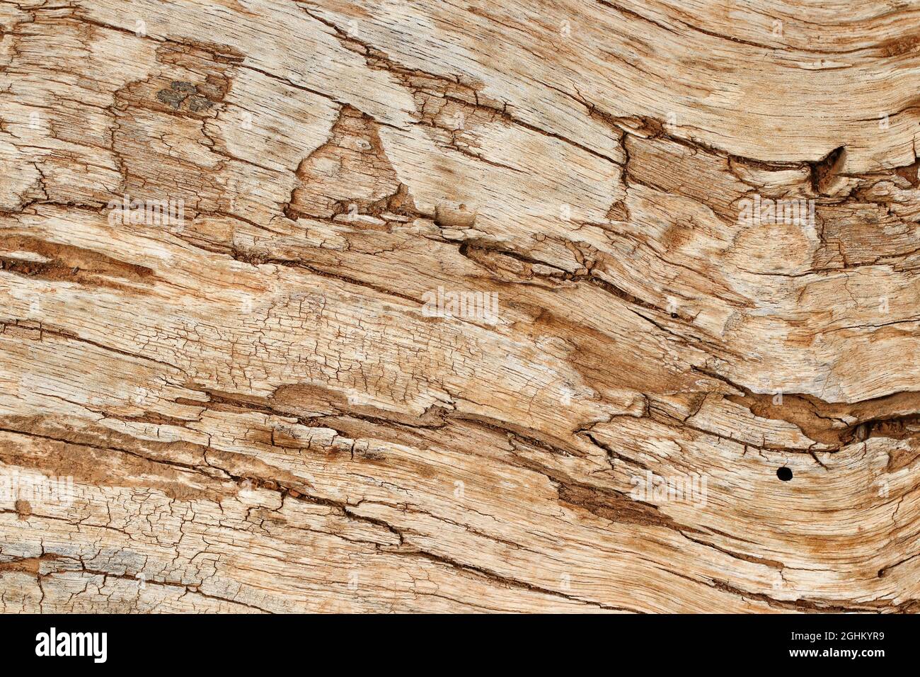 Fondo de textura de madera (enfoque selectivo) Foto de stock