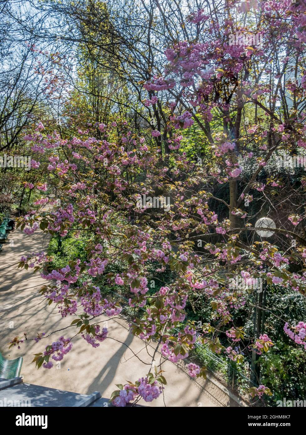 La Promenade Plantee, París, Ile de France, Francia Foto de stock
