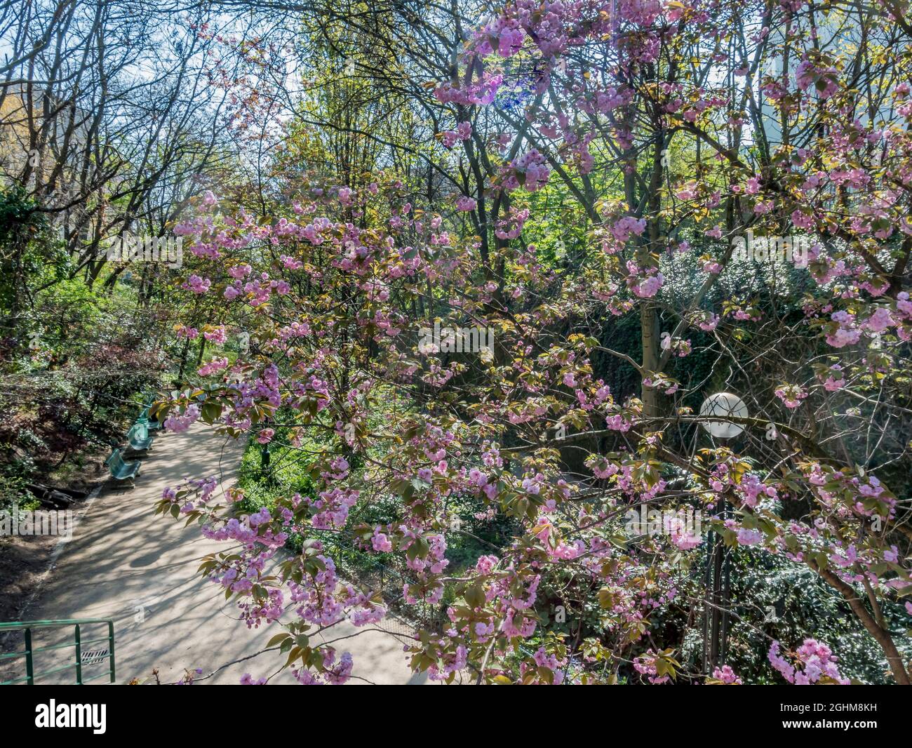 La Promenade Plantee, París, Ile de France, Francia Foto de stock
