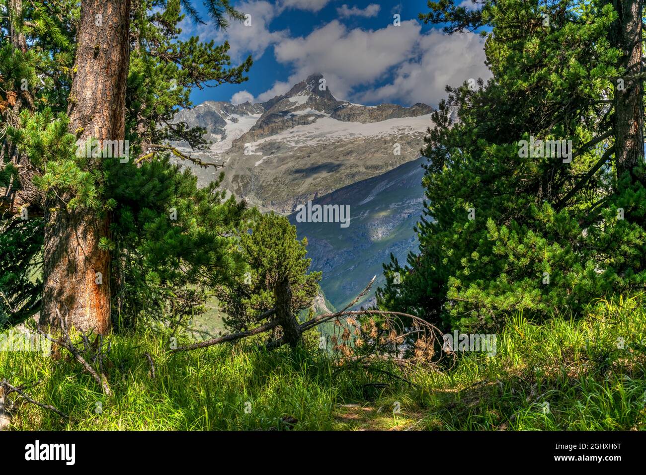 Vista panorámica de las montañas de verano, Zermatt, Valais, Suiza Foto de stock