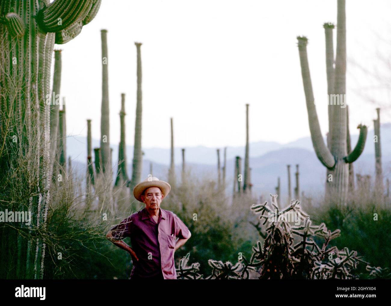 Joseph Krutch, crítico de teatro y naturalista, se muestra aquí en Arizona en julio de 1969. Foto de stock