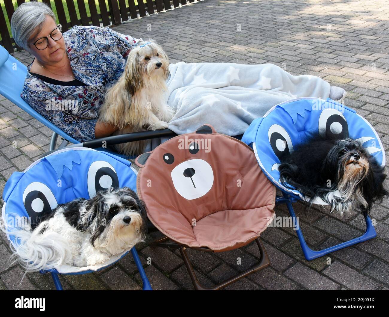 03 de septiembre de 2021, Sajonia, Eilenburg: La vendedora de seguros Ivette  Starcke se sienta en su jardín con sus perros havaneses Otto, Arthur y  Vanja (r-l). Los animales de seis, uno