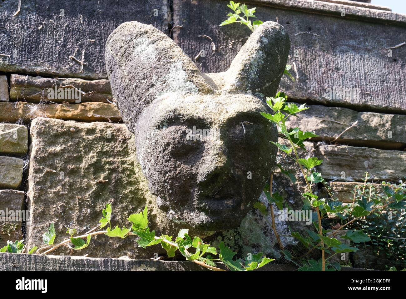 Un divertido tallado de piedra se encuentra a lo largo de una pared de piedra en el cementerio de la iglesia de Hathersage y parece que tiene un cuello de follaje. Foto de stock