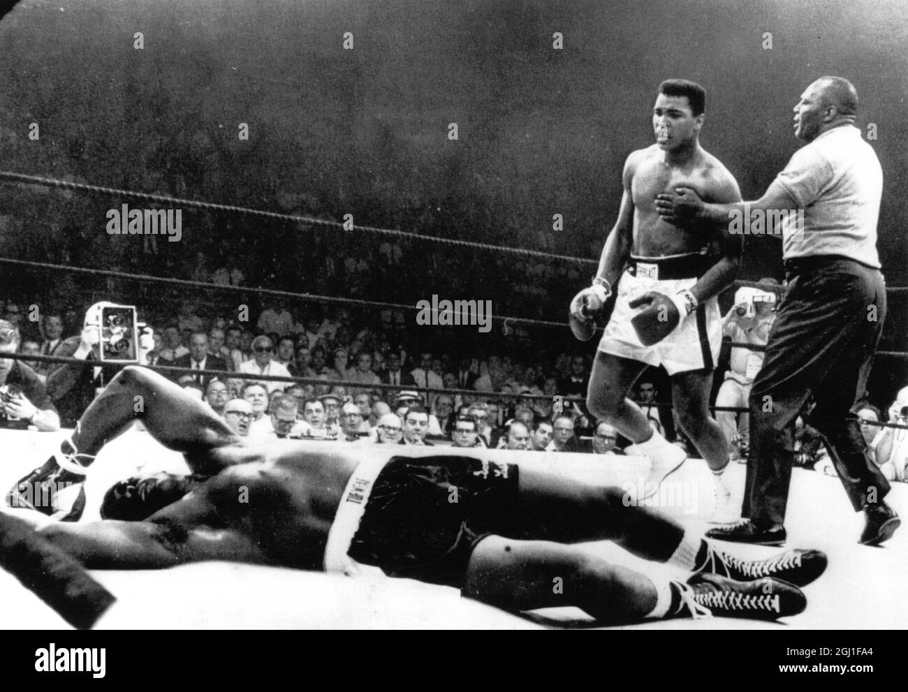 (Muhammad Ali) Cassius Clay boxeador americano en el ring de boxeo con Sonny Liston 1965 Foto de stock