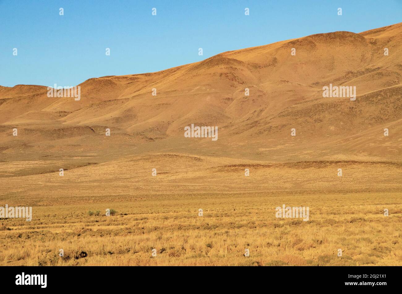 EE.UU., Nevada, Black Rock Range y Soldier Meadows Foto de stock