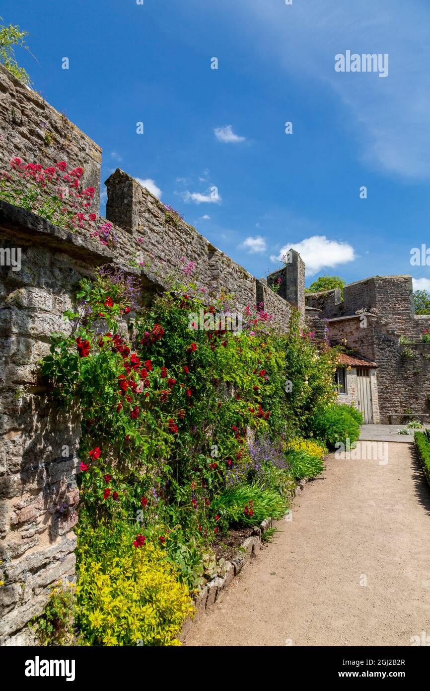 Coloridas fronteras herbáceas en el jardín amurallado del Bishop's Palace Gardens en Wells, Somerset, Inglaterra, Reino Unido Foto de stock