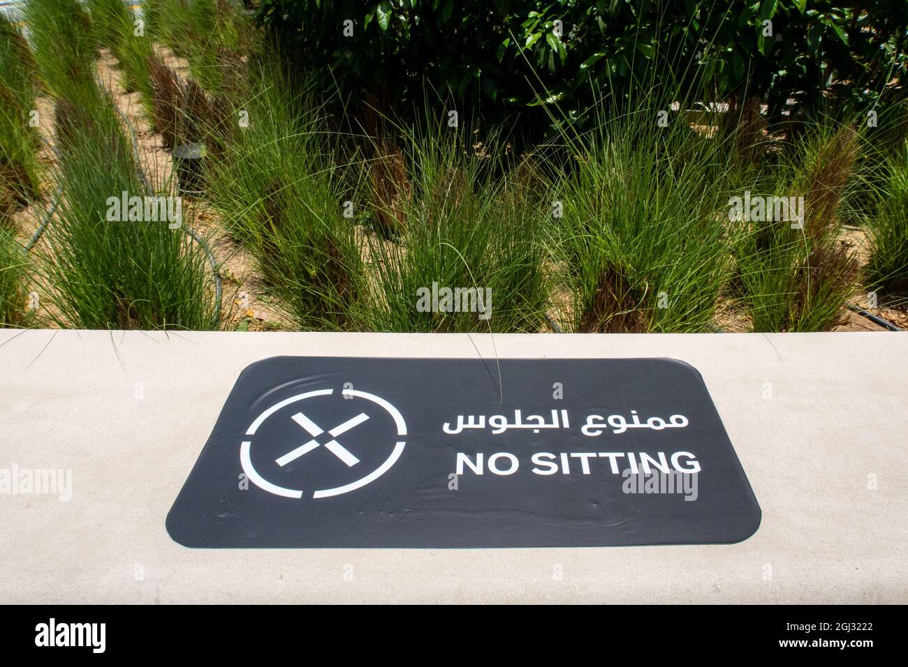 Negro NO SENTADO mantel en inglés y árabe en banco de piedra en un parque,  prohibido sentarse debido a la pandemia COVID-19, Dubai, Emiratos Árabes  Unidos Fotografía de stock - Alamy