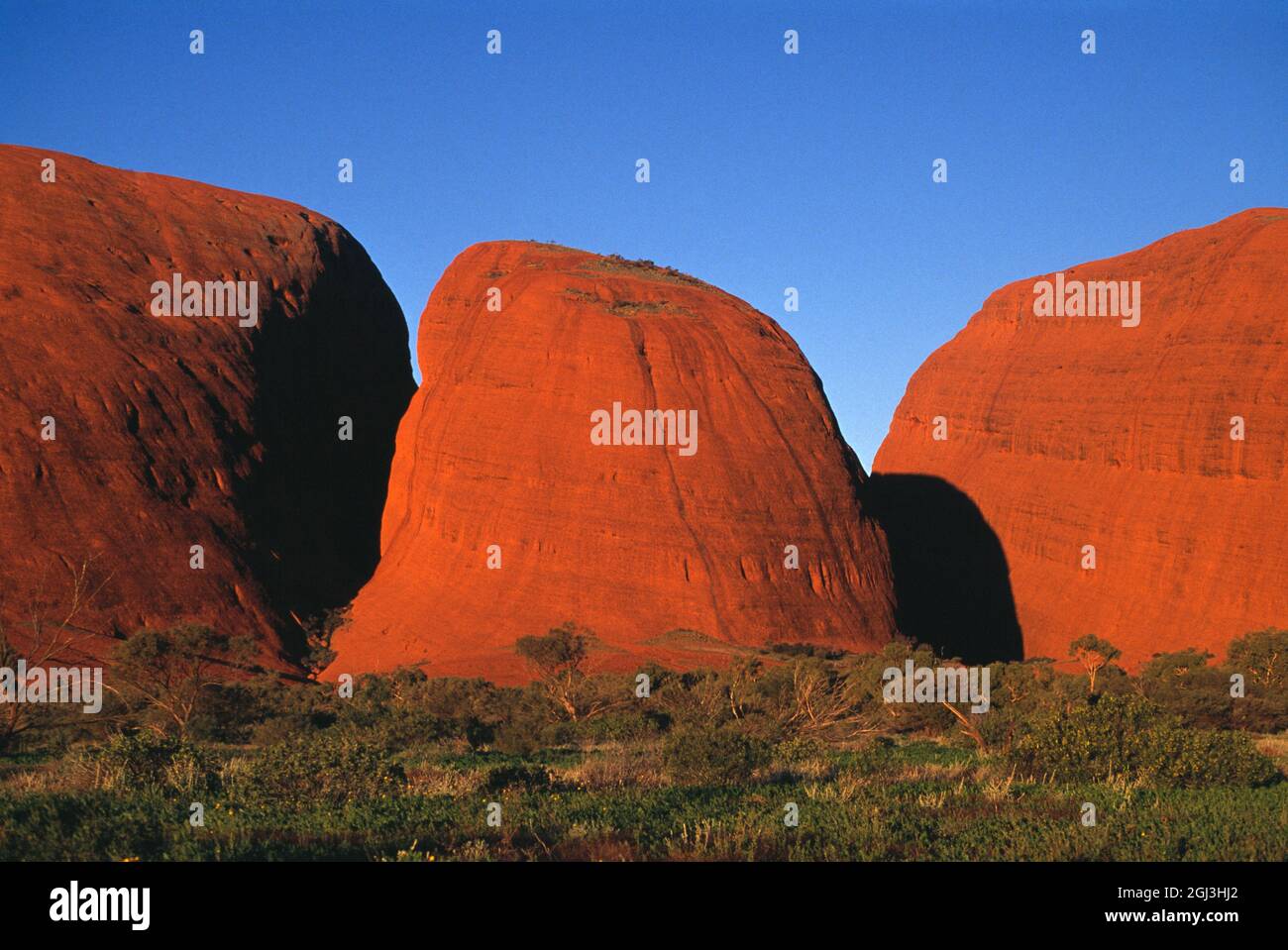 Australia. El Territorio del Norte. Región de Alice Springs. El Kata Tjuta (Monte Olga) (Las Olgas). Foto de stock
