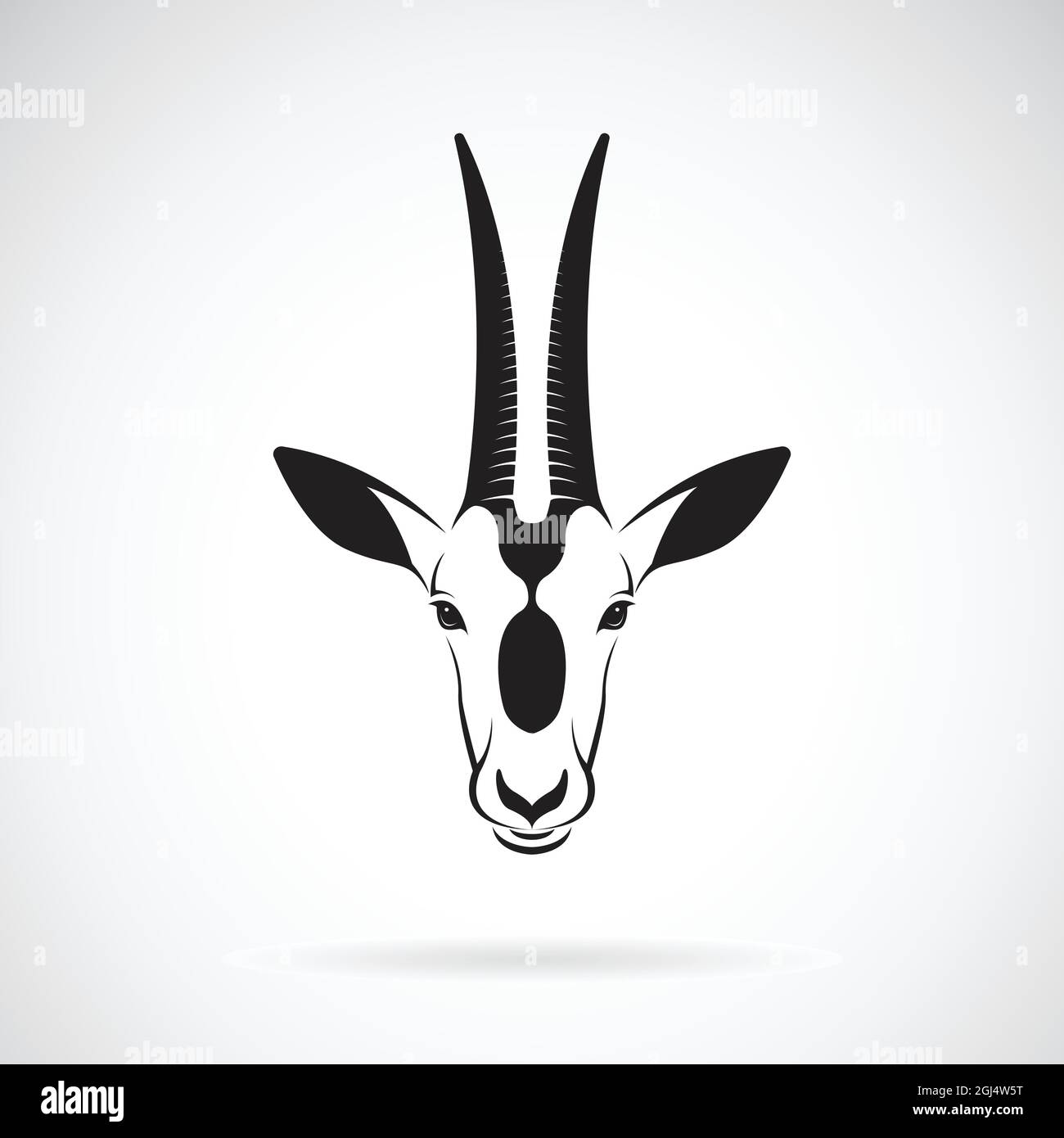 Vector de un diseño de cabeza oryx de cuernos Scimititar sobre fondo blanco. Animales salvajes. Ilustración vectorial. Ilustración del Vector