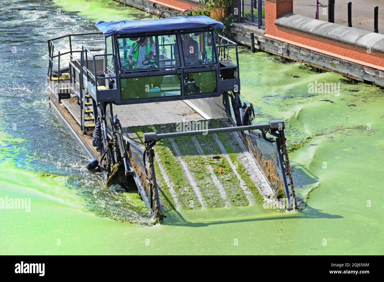 'The Lee mean alga clean machine' propiedad de British Waterways en el trabajo en el Lee Navigation recogiendo verde caliente verano algas florecimiento Hackney Londres Reino Unido Foto de stock