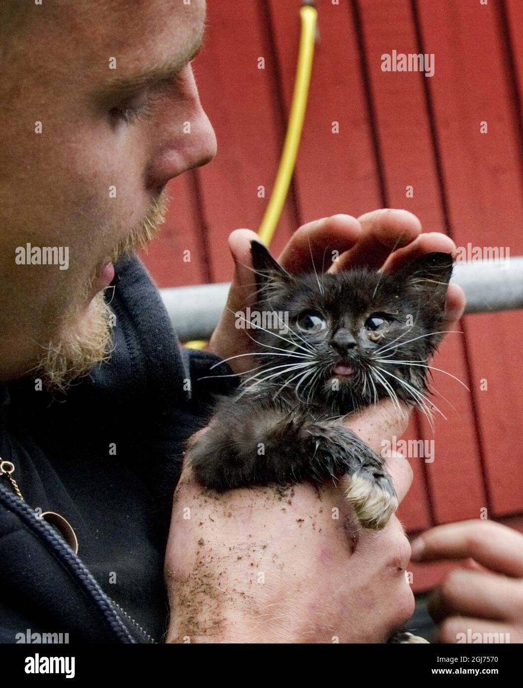 GÃ–TEBORG 2011-09-20 Christoffer Blidestedt gato rescatador. El gato ha  estado atrapado en una tubería subterránea durante 24 horas en Gotemburgo.  PLUMMERS ha trabajado el turno de noche para tratar de atraer al