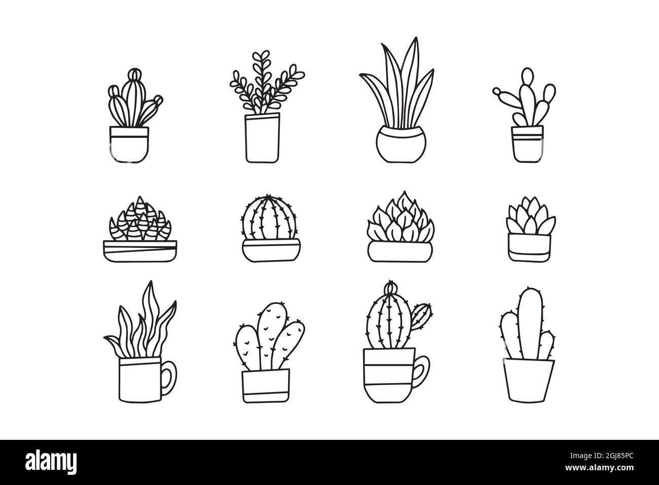 Cactus cute Imágenes de stock en blanco y negro - Alamy
