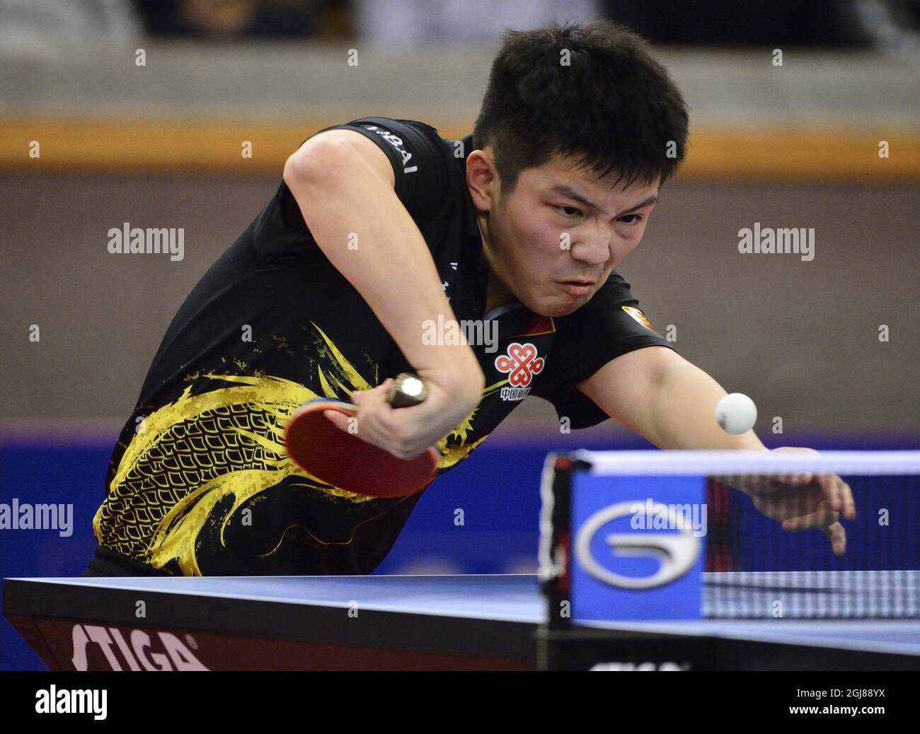 ESTOCOLMO 2013-12-01 Fan Zhendong de China pierde el partido final de tenis de mesa contra el compatriota Yan An durante el Campeonato Abierto de Suecia en el Eriksdalshallen en Estocolmo, Suecia, el 01 de diciembre de 2013. Foto: Henrik Montgomery / TT / código 10060 Foto de stock