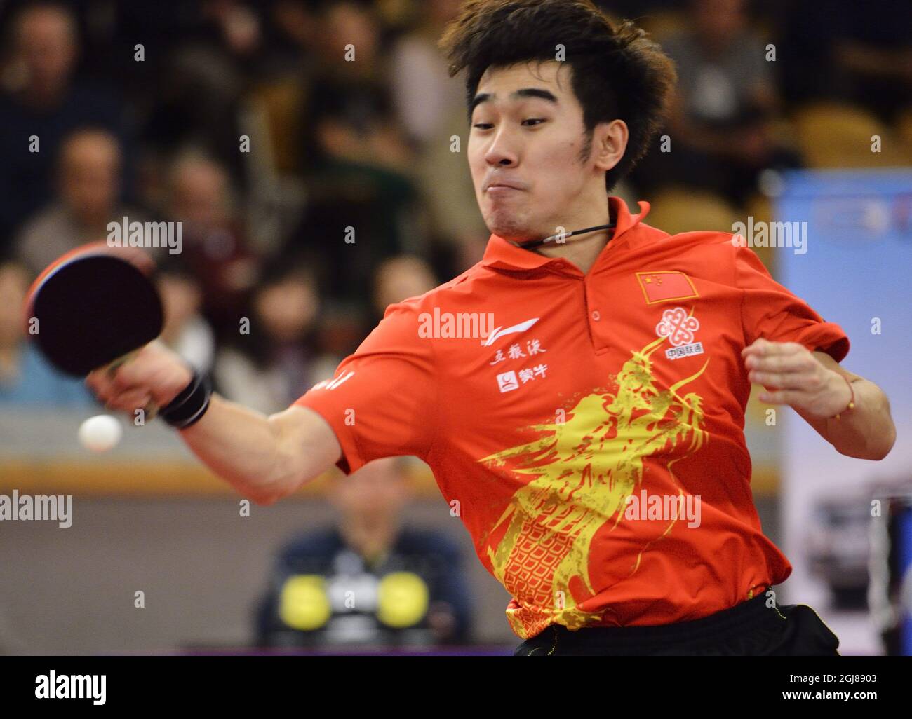 ESTOCOLMO 2013-12-01 Yan An de China gana el partido final de tenis de mesa contra el compatriota Fan Zhendong durante el Campeonato Abierto de Suecia en el Eriksdalshallen en Estocolmo, Suecia, el 01 de diciembre de 2013. Foto: Henrik Montgomery / TT / código 10060 Foto de stock