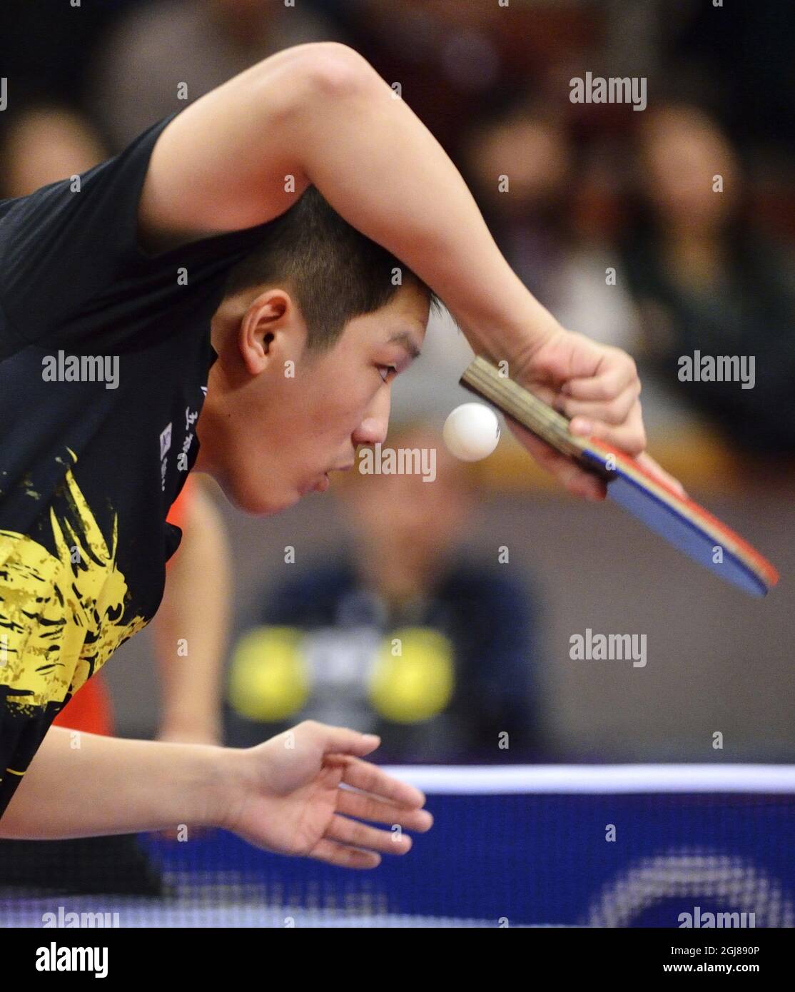 ESTOCOLMO 2013-12-01 Fan Zhendong de China pierde el partido final de tenis de mesa contra el compatriota Yan An durante el Campeonato Abierto de Suecia en el Eriksdalshallen en Estocolmo, Suecia, el 01 de diciembre de 2013. Foto: Henrik Montgomery / TT / código 10060 Foto de stock