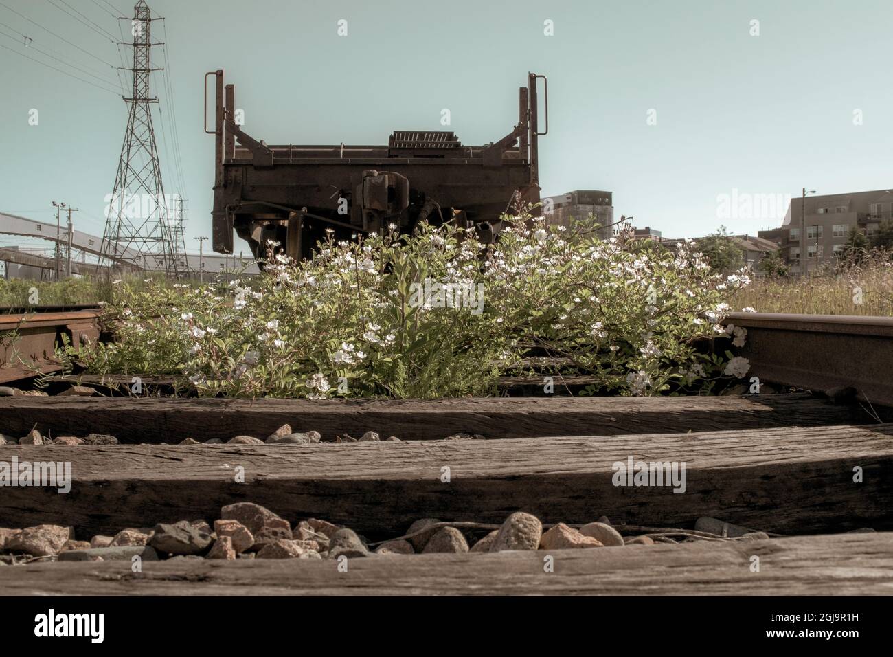 Vías de la vía férrea utilizadas por el Ferrocarril Nacional Canadiense en halifax Nova scotia canadá Foto de stock