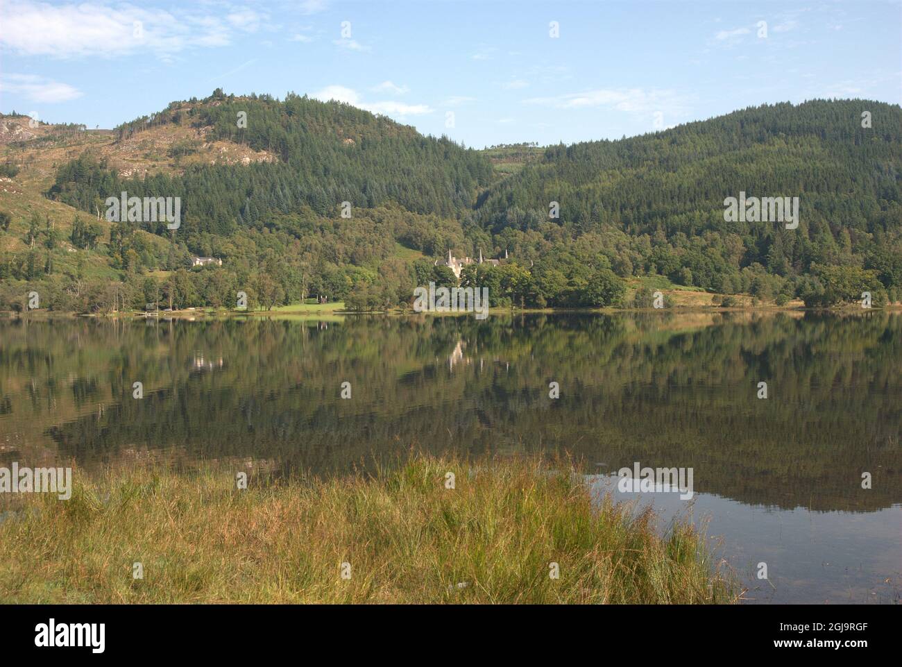 Mirando al lago Achray en Trossachs en verano Foto de stock