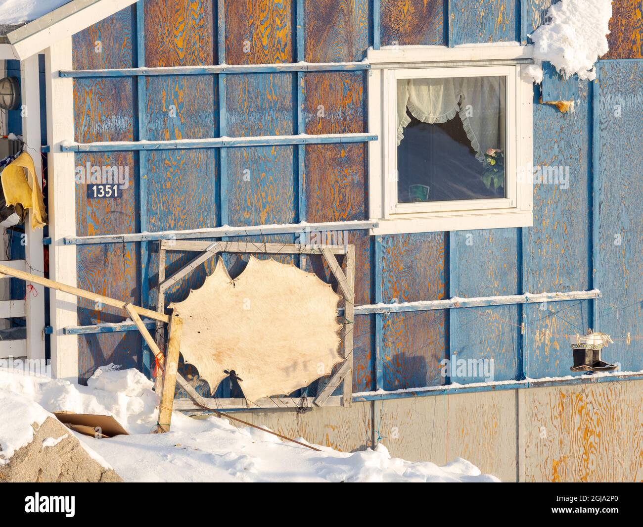 Piel de un sello. La tradicional y remota aldea de los inuit groenlandeses Kullorsuaq, Melville Bay, Groenlandia, territorio danés. (Sólo para uso editorial) Foto de stock