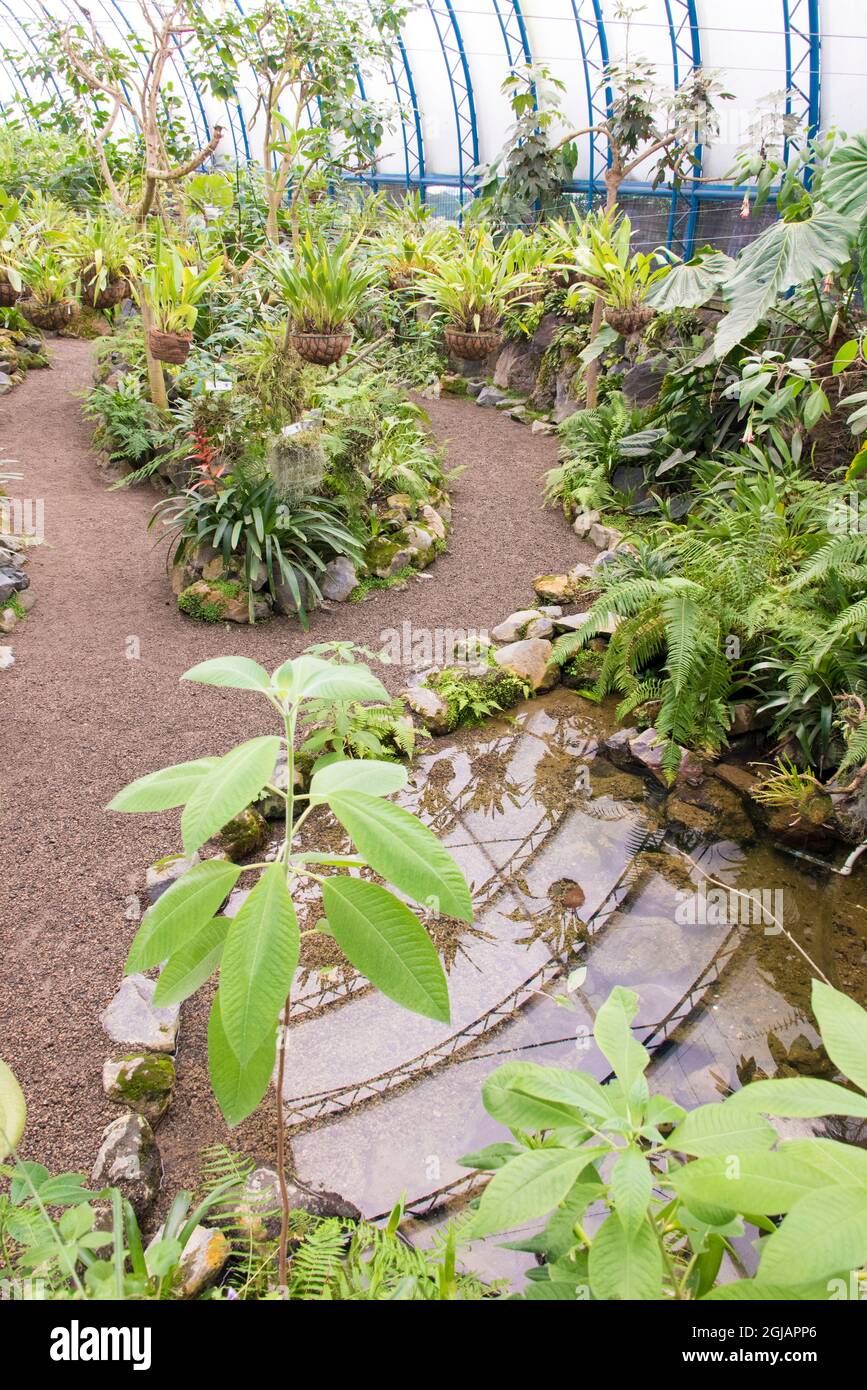 Ecuador, Quito, Parque Carolina. Jardin Botanico de Quito. Jardín Botánico invernadero de orquídeas Foto de stock