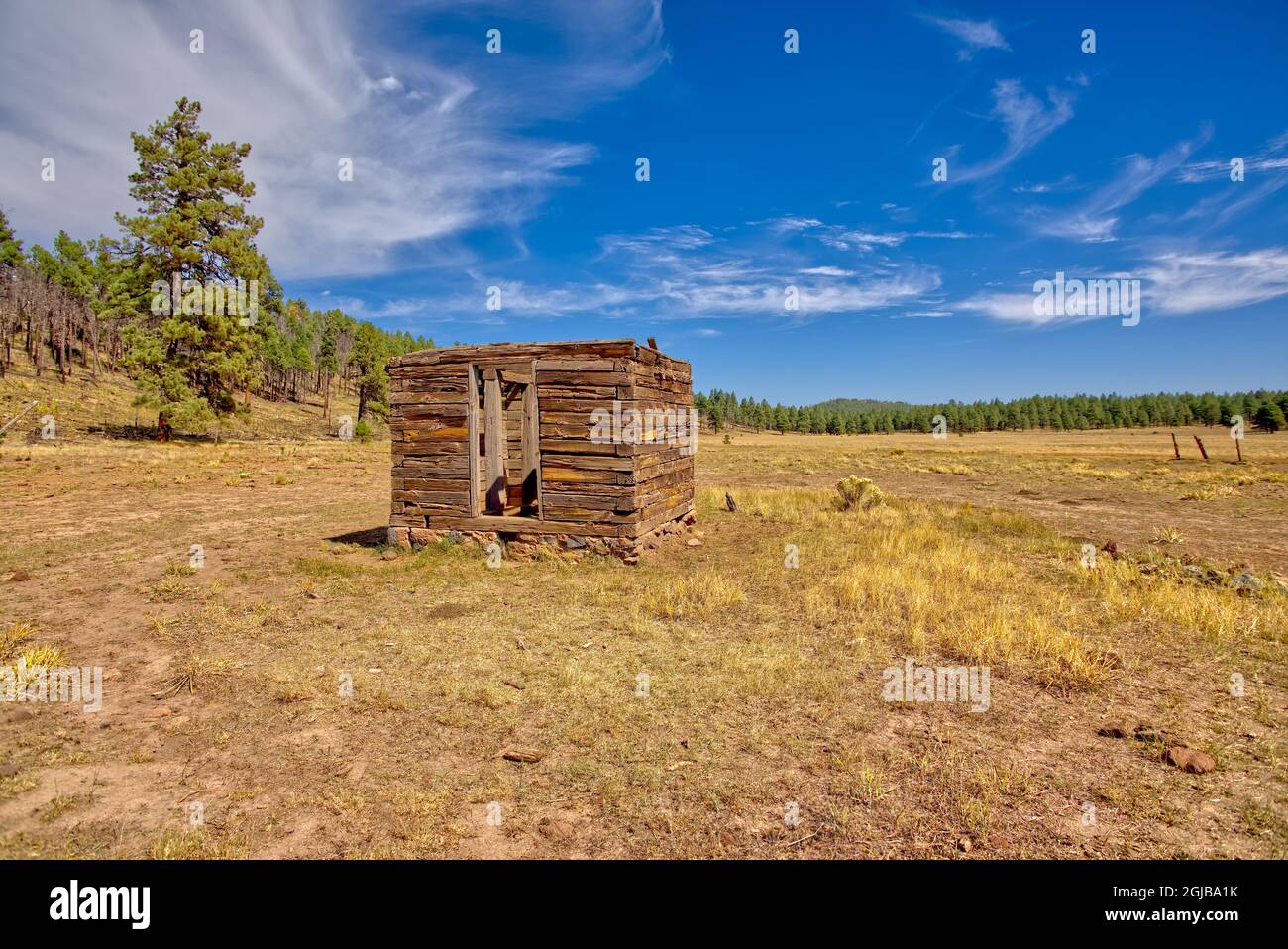 Una antigua casa de pozo en ruinas cerca de Barney Tank al sur de Williams Arizona. Ubicado en tierra pública en el Bosque Nacional Kaibab. No hay liberación de propiedad ne Foto de stock