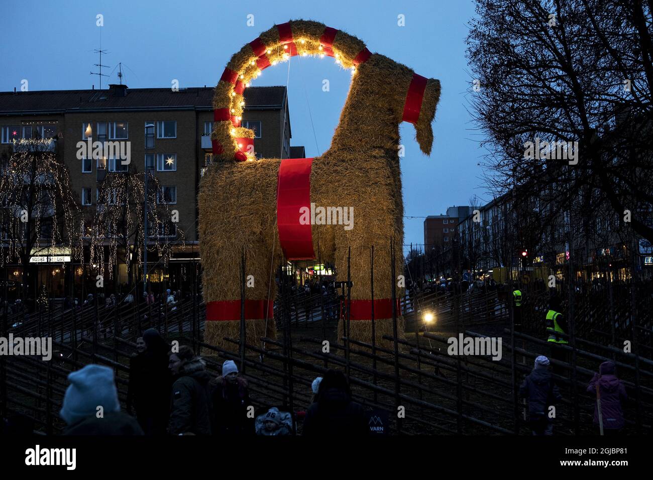El (in)famouos Gavle Goat (Gavlebocken) se inaugura en el centro de Gavle, Suecia, el 02 de