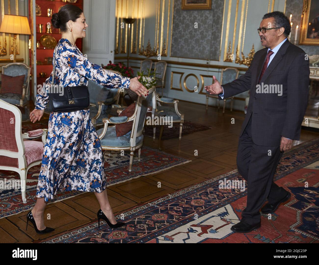 La Princesa Victoria durante una audiencia con el Director General de la Organización Mundial de la Salud, (OMS) el Dr. Tedros Adhanom Ghebreyesus , durante una ceremonia en el Palacio Real de Estocolmo, Suecia, miércoles, 10 de abril de 2019 Foto Fredrik Persson / TT / Kod 75906 Foto de stock