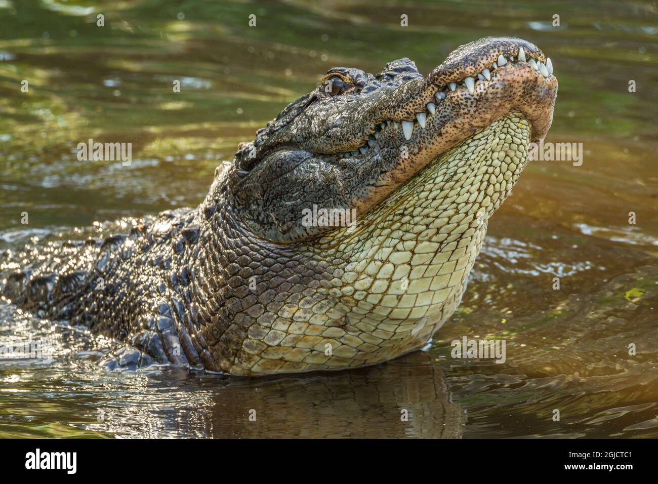 Subsónico fotografías e imágenes de alta resolución - Alamy