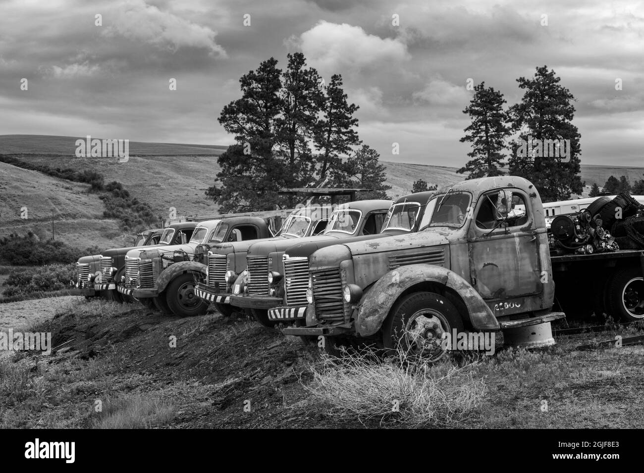 Vista de camiones antiguos, Palouse región del este de Washington. Foto de stock