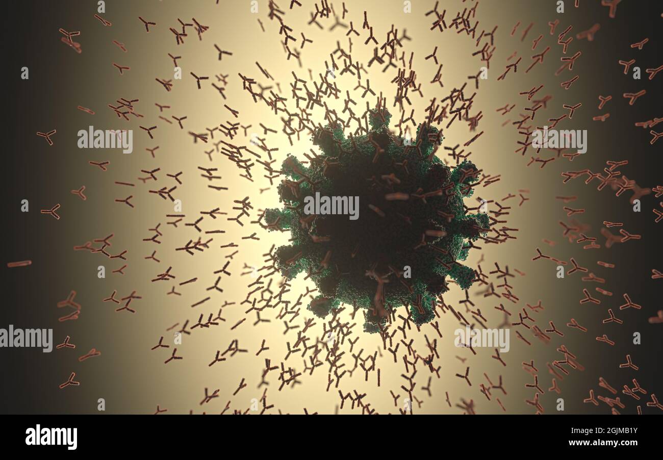 Sistema inmunológico, anticuerpos que atacan el virus covid-19. Ilustración 3D, concepto del sistema de defensa del cuerpo. Anticuerpo en forma de y que ataca el Foto de stock