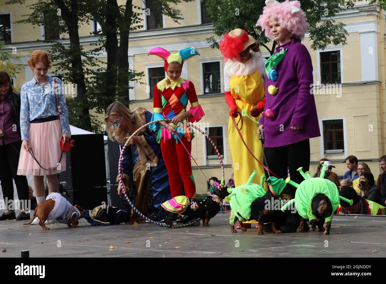 X espectáculo de perros de salchicha en San Petersburgo, Rusia Foto de stock