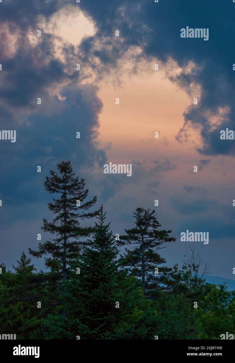 Paisaje nuboso al atardecer. Estratocumulus castellanus nubes sobre las copas de los árboles de abeto negro (Picea mariana) y abeto balsámico (Abies balsamea). Lago Rangeley, Maine Foto de stock