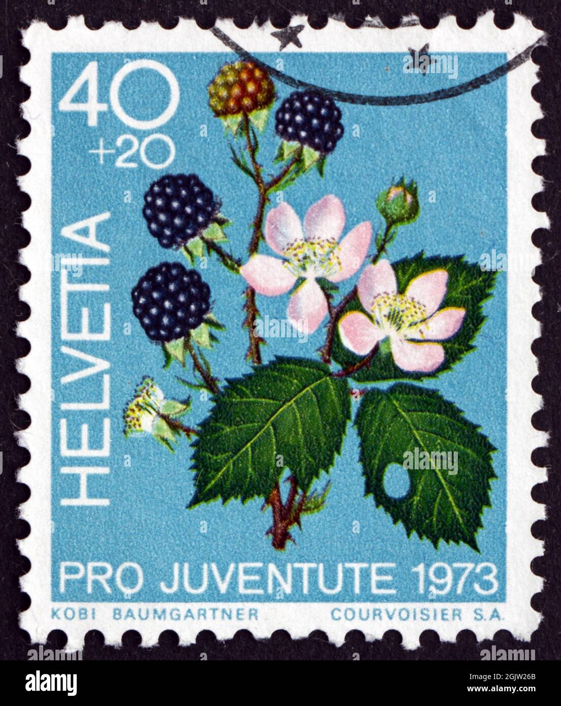 SUIZA - CIRCA 1973: Un sello impreso en Suiza muestra Blackberry, Rubus fruticosus, Fruit of the Forest, circa 1973 Foto de stock
