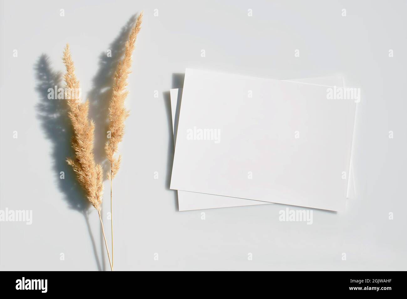 Cartelera o folleto para presentaciones de hojas blancas de papel con dos orejas y sombra sobre un fondo gris en un estilo minimalista moderno y elegante Foto de stock