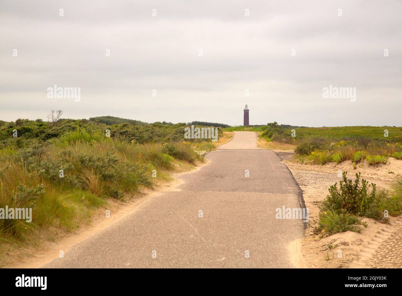 Camino en bicicleta sobre dunas de arena, Ouddorp, Goeree-Overflakkee, Holanda del Sur, Países Bajos Foto de stock