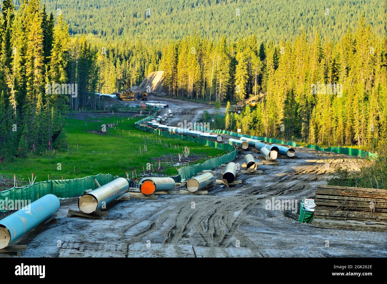 Tendido del oleoducto Trans Mountain cerca de Hinton, Alberta, Canadá Foto de stock