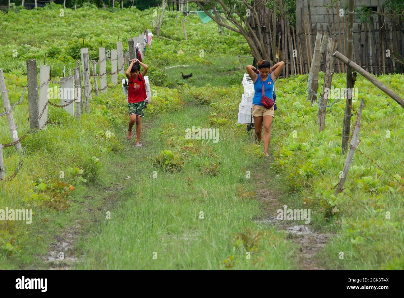 Binangonan, Rizal, Filipinas. 10th de Sep de 2021. Una mujer y su hijo llevan cestas de verduras que venderán a varias casas mientras caminan en los campos. (Imagen de crédito: © George Buid/ZUMA Press Wire) Foto de stock