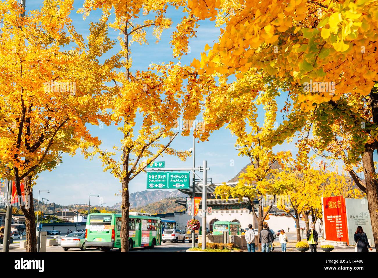 Seúl, Corea - 28 de octubre de 2020 : Palacio Gyeongbokgung Plaza Gwanghwamun con árboles de ginkgo otoñales Foto de stock