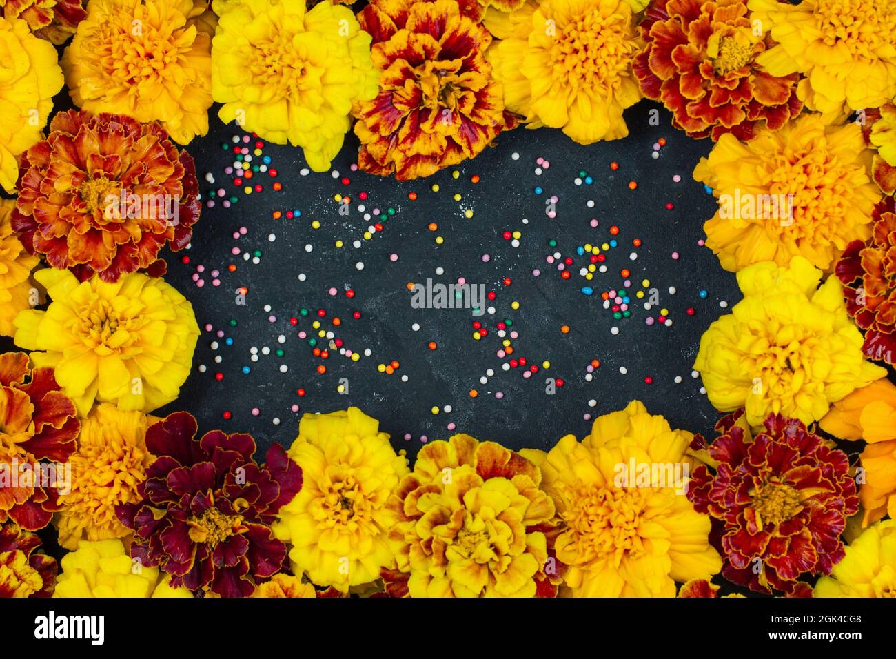 Las flores de Marigold son de color rojo amarillo y naranja, fondo oscuro  un marco para Halloween y Dia De Los Muertos es una celebración musical  Fotografía de stock - Alamy