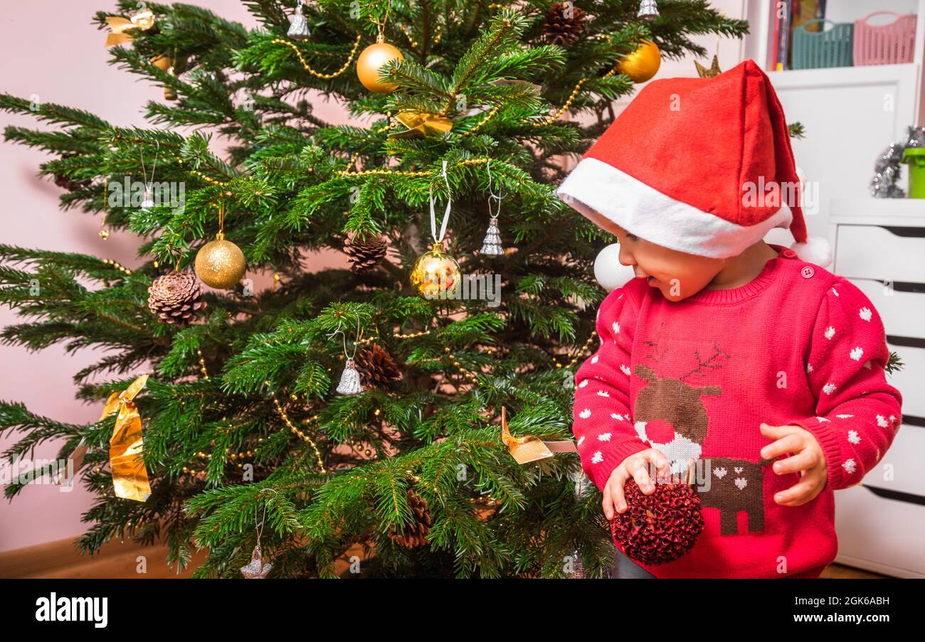 La niña pequeña que usa el jersey rojo de Navidad ayuda a decorar el árbol  de Navidad en casa Fotografía de stock - Alamy