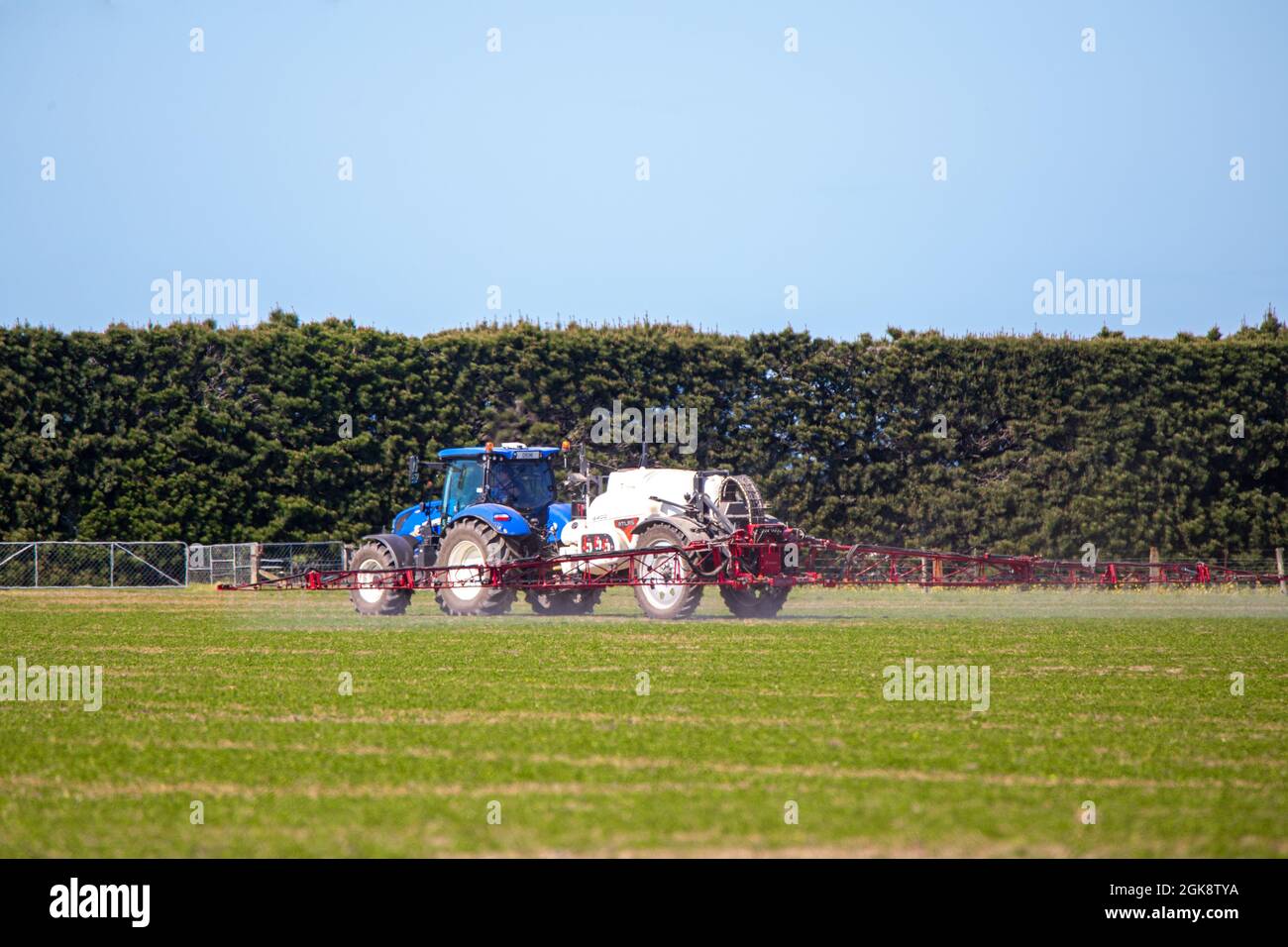 Canterbury, Nueva Zelanda, septiembre de 11 2021: Un tractor New Holland con pulverizador de cultivo Atlas conectado, rocía una cosecha agrícola en primavera Foto de stock