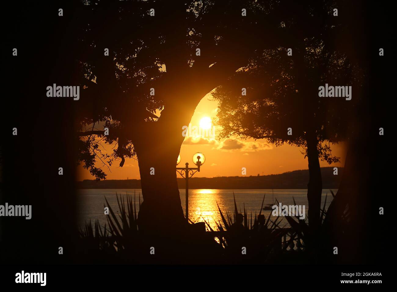 Fotos de fondo puestas de sol en el Mar Negro a través de los árboles Foto de stock