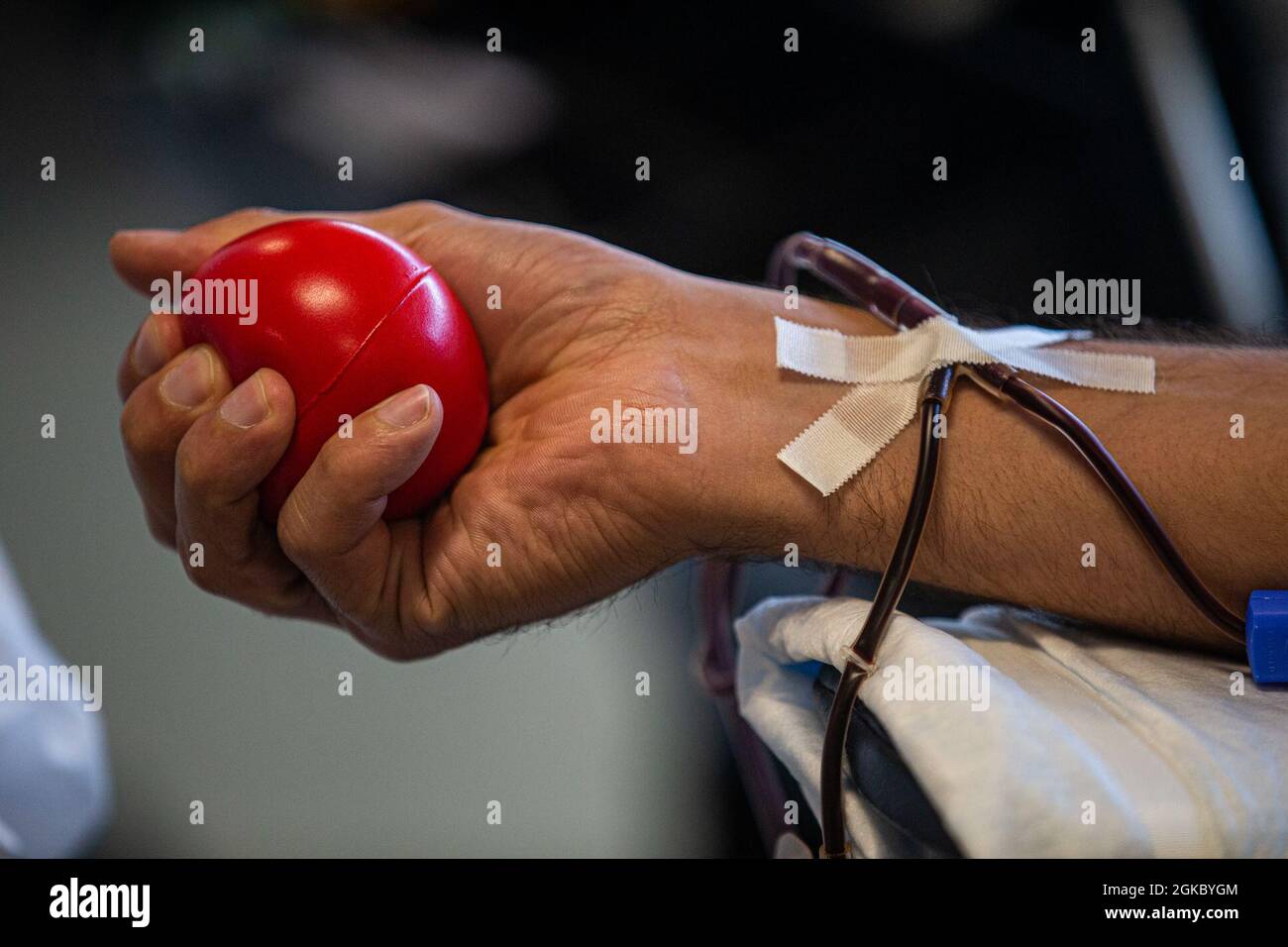 U.S. Marine Corps Cpl. Justin Kirschner, un mantenedor de sistemas de transmisión electrónica terrestre con la Sede y el Batallón de Apoyo, exprime una bola de estrés para mejorar la circulación sanguínea mientras dona sangre en el Campo Foster USO, Okinawa, Japón, 8 de marzo de 2021.Desde la primera unidad de sangre en 2017, El USO de Camp Foster ha recibido más de 170 pintas de sangre con el potencial de ayudar a unos 522 pacientes que necesitan una transfusión. Kirschner es un nativo de Tampa, Florida. Foto de stock