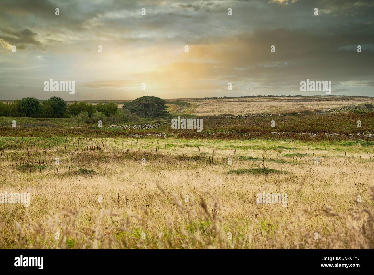 Las hermosas tierras del campo de Cornualles terminan salvajes y desamparadas al atardecer Foto de stock