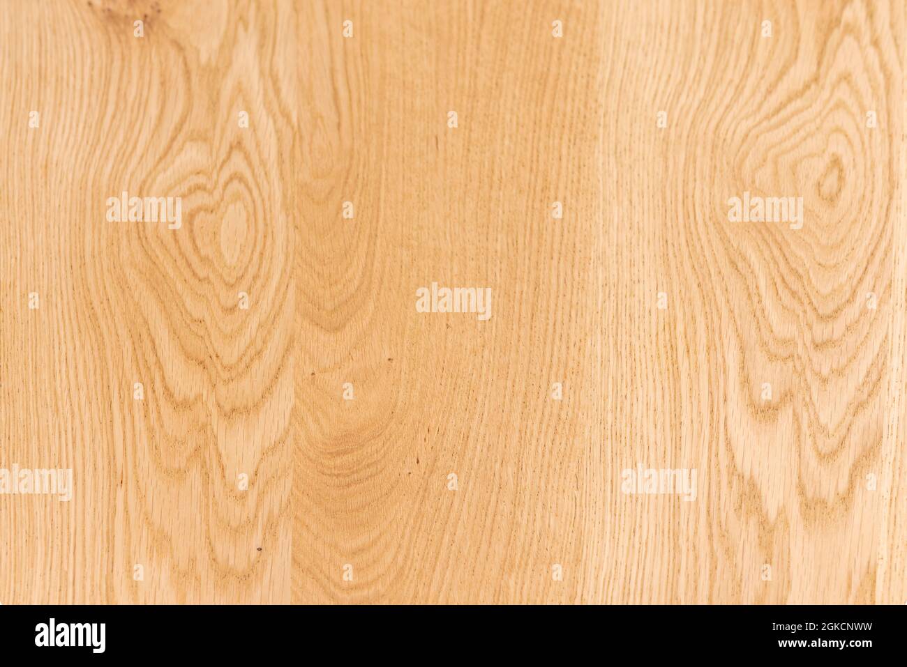 Fondo de madera de roble barnizado en tonos claros que muestran sus hermosas venas. Vectores de textura de madera clara para el fondo. Foto de stock
