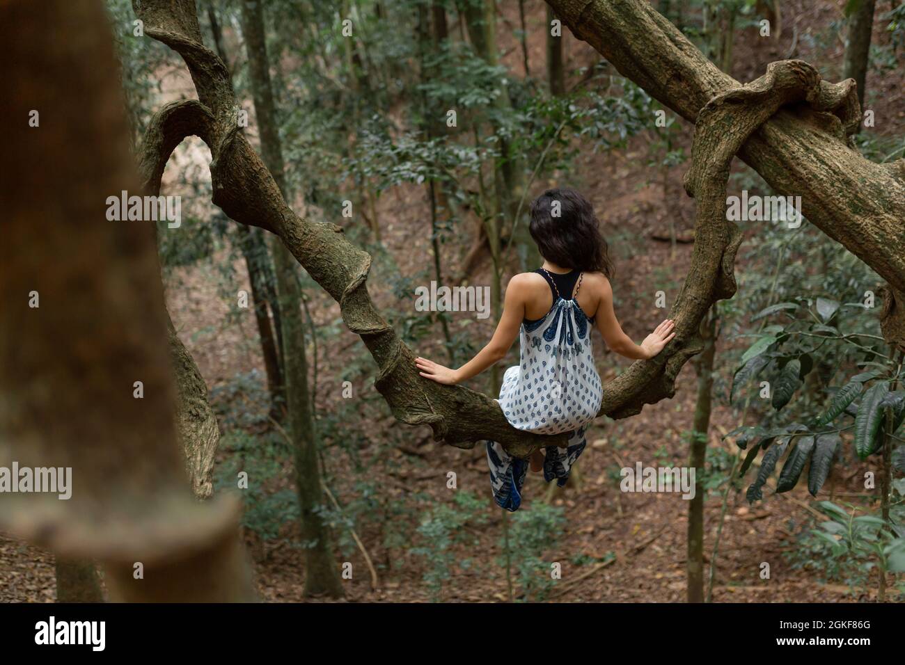 La chica se sienta en una enorme rama de liana en la selva. Foto de stock