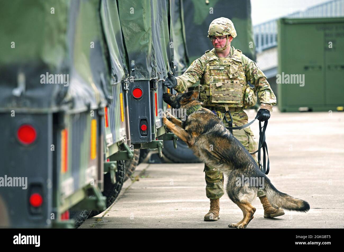 100º destacamento de perros de trabajo militar fotografías e imágenes de  alta resolución - Alamy
