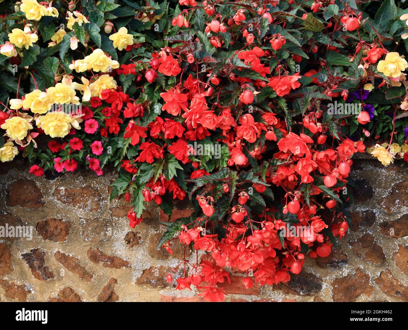 Muro De Jardin Fotografías E Imágenes De Alta Resolución Alamy