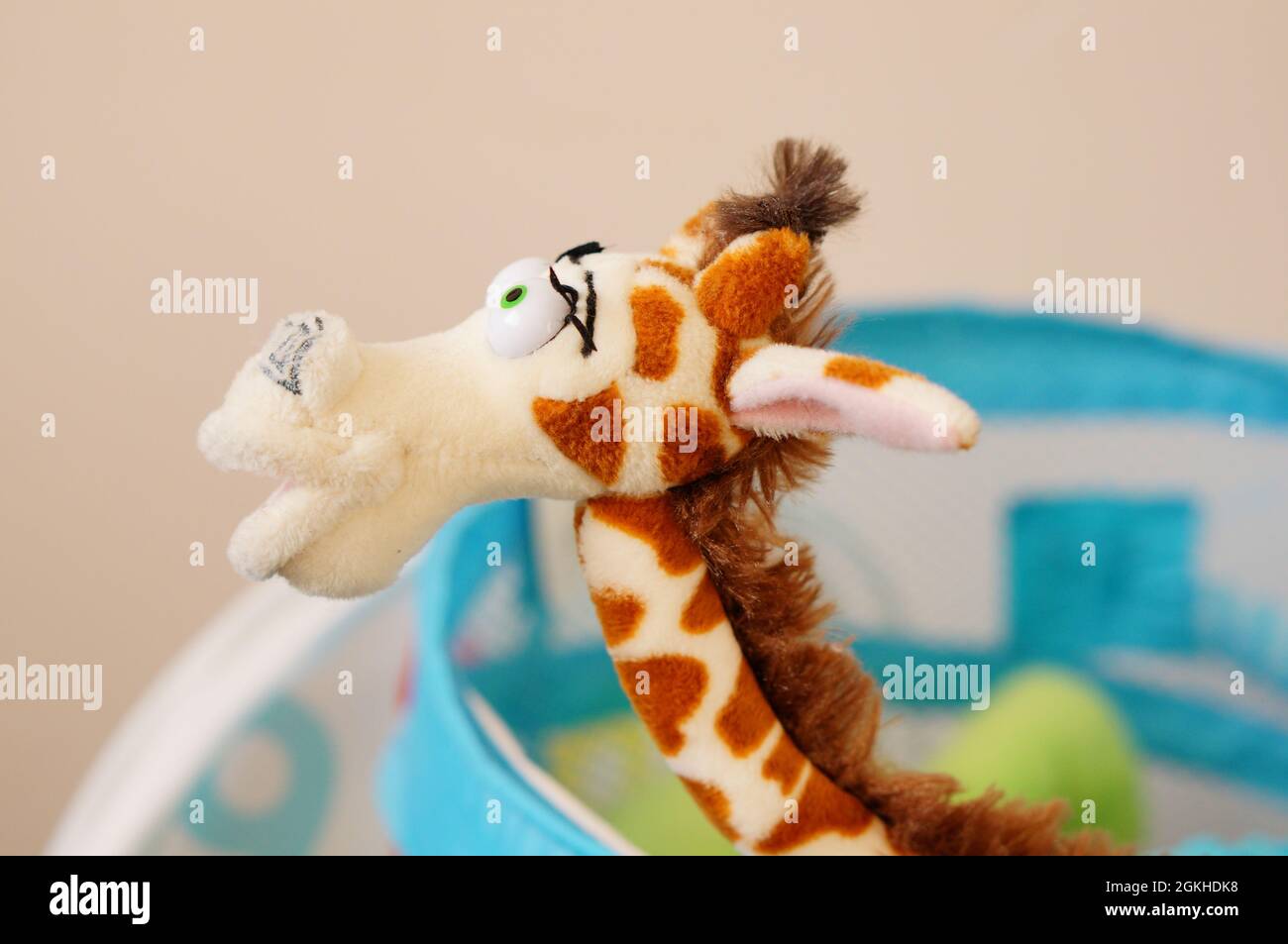 Cerca de la cabeza del juguete mordedor de bebé francés Sophie la jirafa  Fotografía de stock - Alamy
